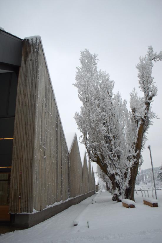 Museo Regional de Aysén